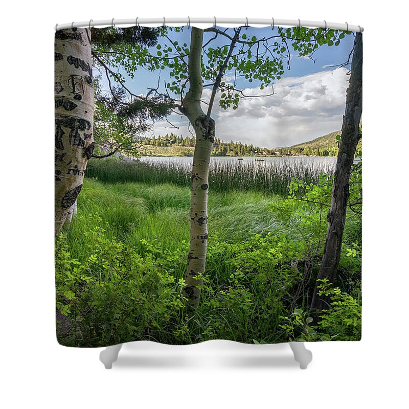 Eastern Sierra Shower Curtain featuring the photograph Through the Aspens by Laura Macky