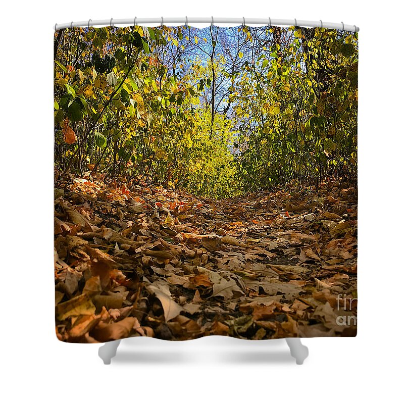 Leaves Shower Curtain featuring the photograph Through the Leaves by Bob Mintie