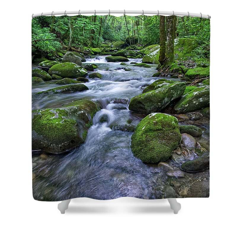 Smoky Mountains Shower Curtain featuring the photograph Thunderhead Prong 17 by Phil Perkins