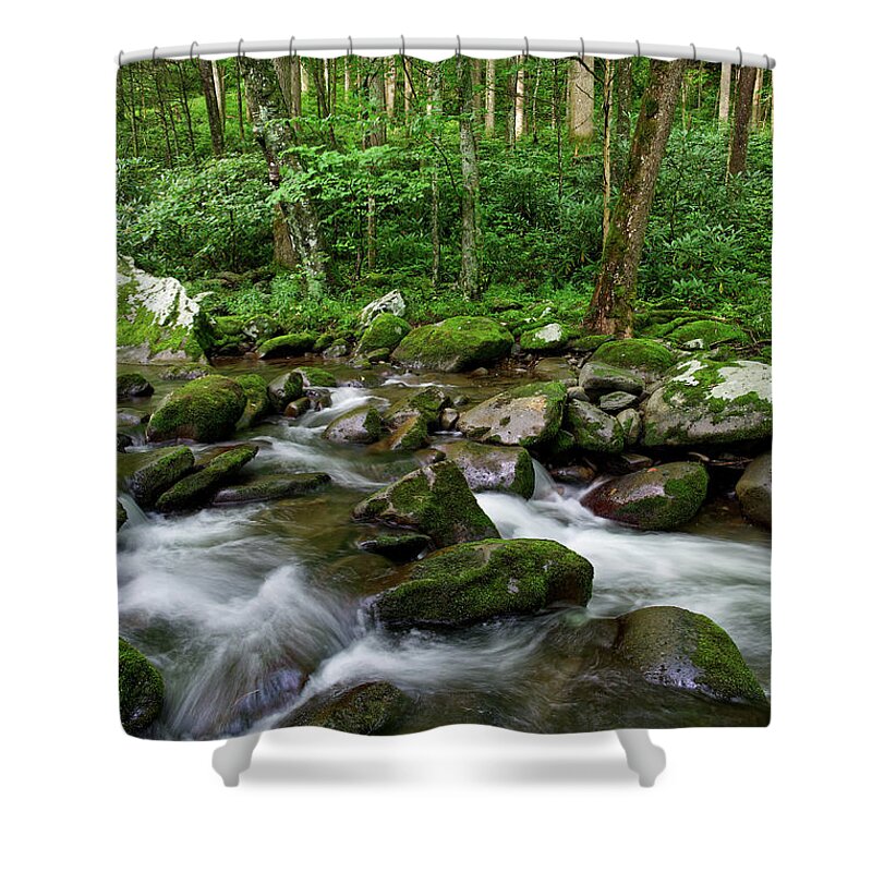 Smoky Mountains Shower Curtain featuring the photograph Thunderhead Prong 6 by Phil Perkins