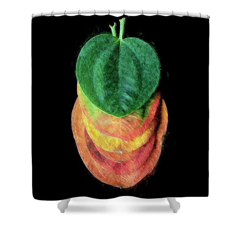 Tibouchina Grandifolia Princess Flower T Urvilleanas Shower Curtain featuring the photograph Tibouchina Grandifolia Princess Flower T Urvilleanas 106 by Rich Franco