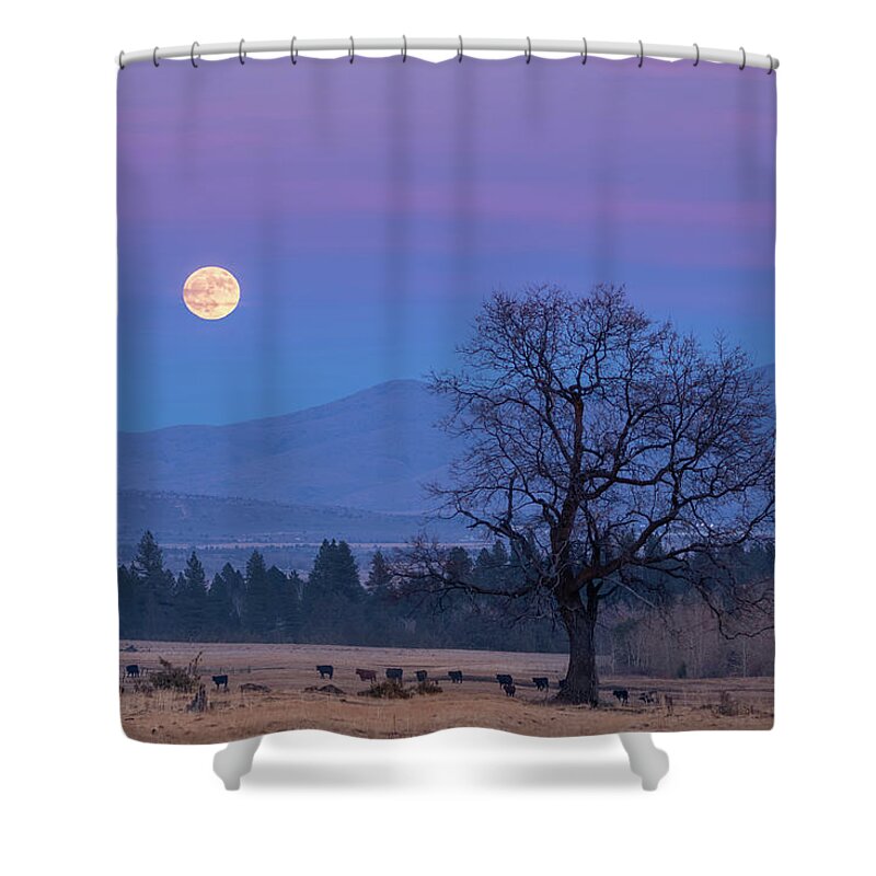 Moonrise Shower Curtain featuring the photograph Till the Cows Come Home by Randy Robbins