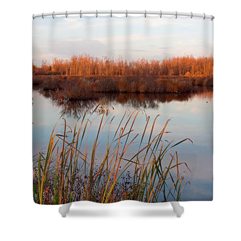 Preserve Shower Curtain featuring the photograph Tillman Preserve by Don Nieman