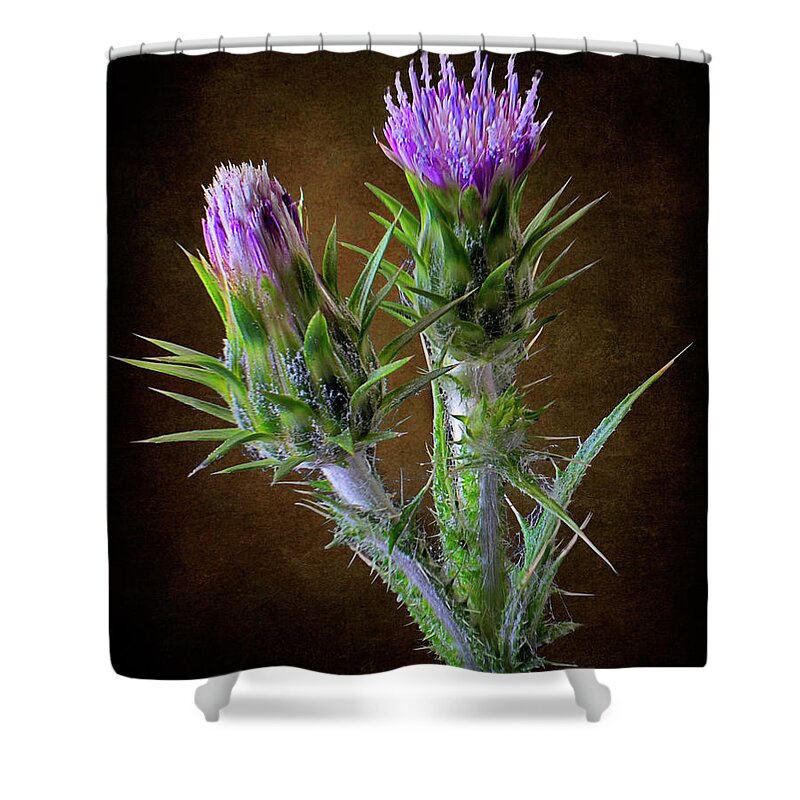 Tiny Thistle Shower Curtain featuring the photograph Tiny Thistle by Endre Balogh