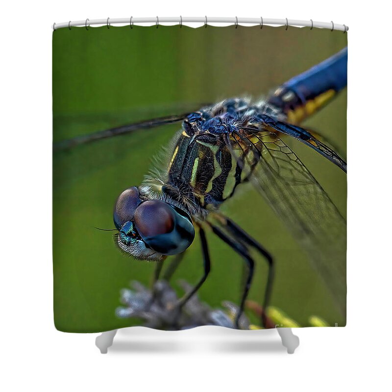 Insects Shower Curtain featuring the photograph Tiny World 2 by DB Hayes