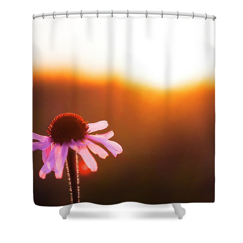  Shower Curtain featuring the photograph Toasted Flower by Nicole Engstrom