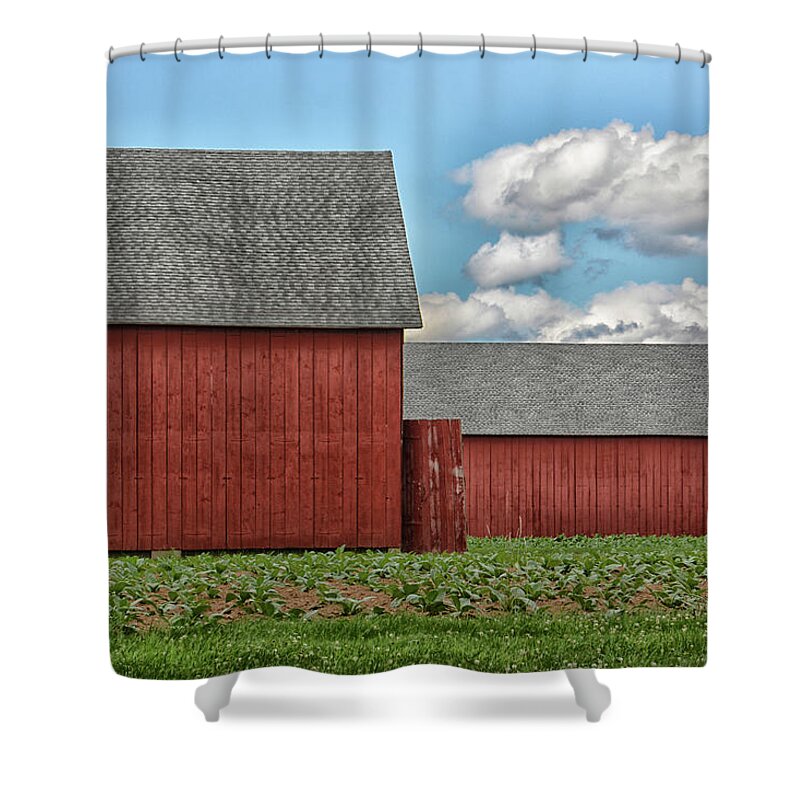 Farm Shower Curtain featuring the photograph Tobacco Barns at Horton Farm by Mike Martin