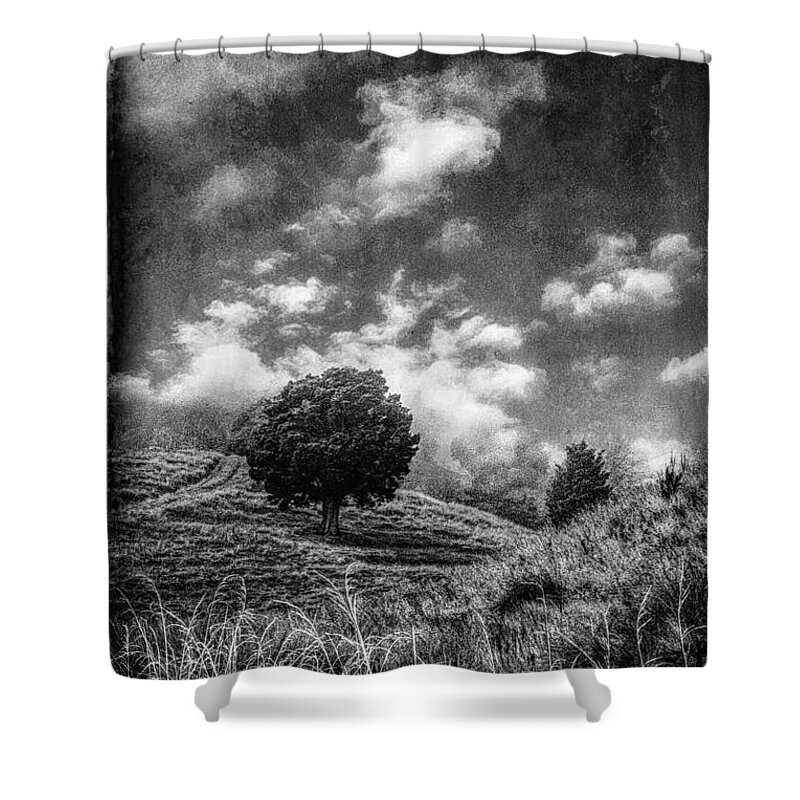 Tree Shower Curtain featuring the photograph Tomorrow by Roseanne Jones