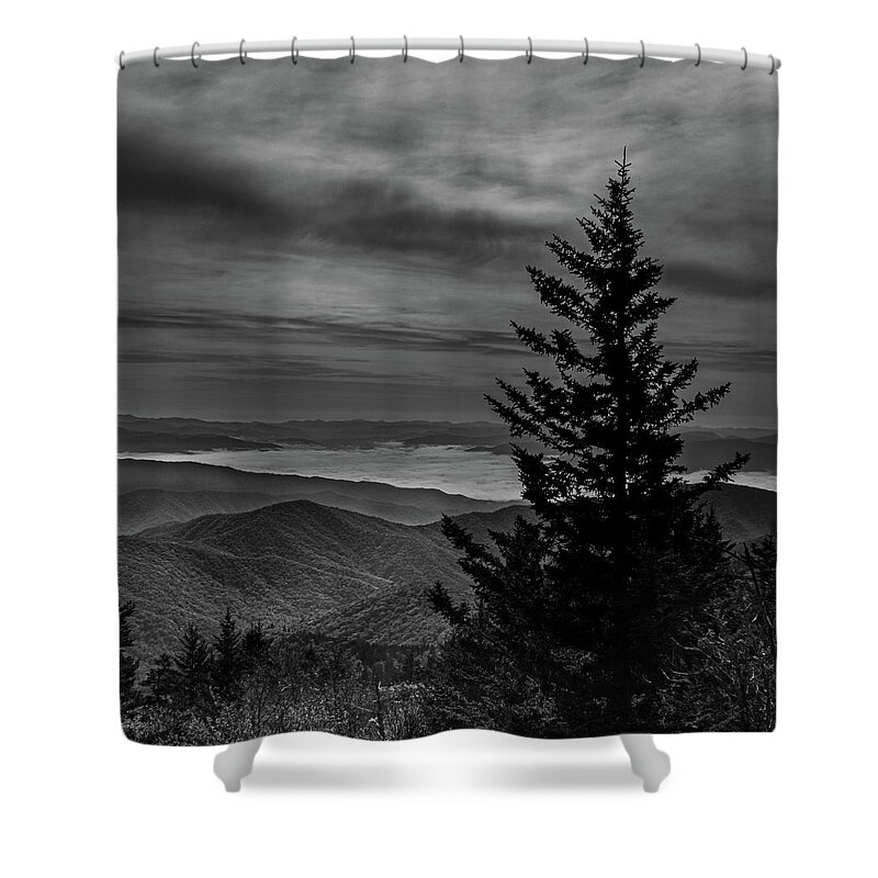 Tree Shower Curtain featuring the photograph Top of the world by Jamie Tyler