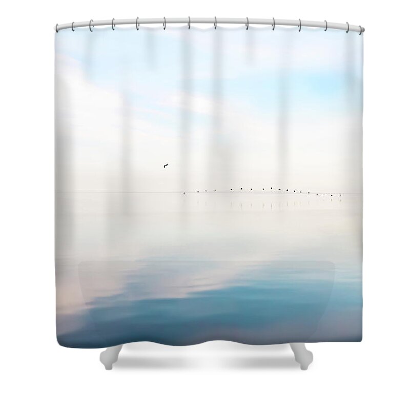 Bombay Beach Shower Curtain featuring the photograph Touch Down by Carmen Kern