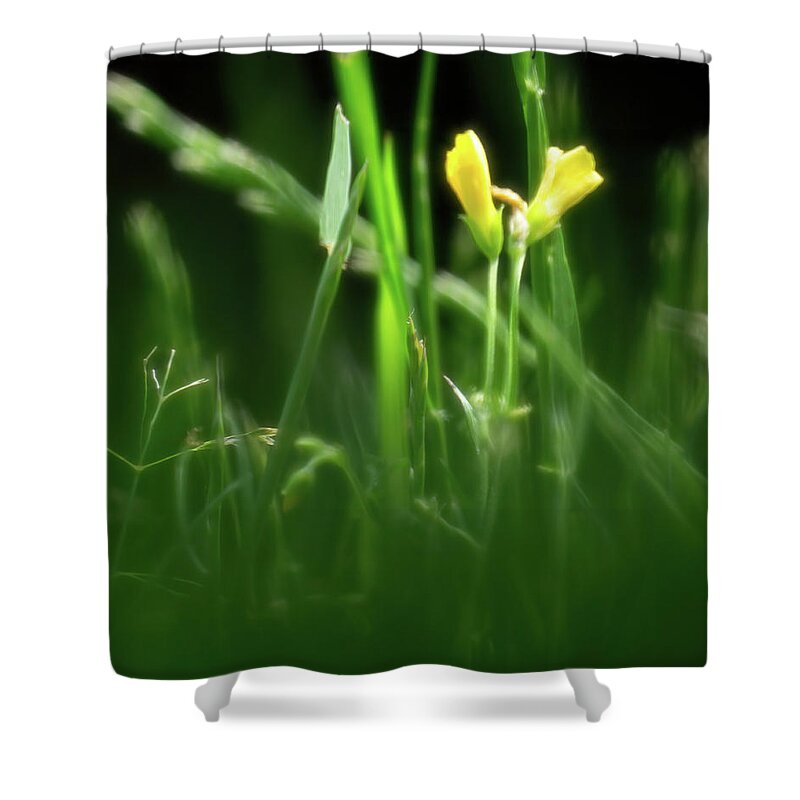 Grass Shower Curtain featuring the photograph Touch of Yellow by Jason Fink