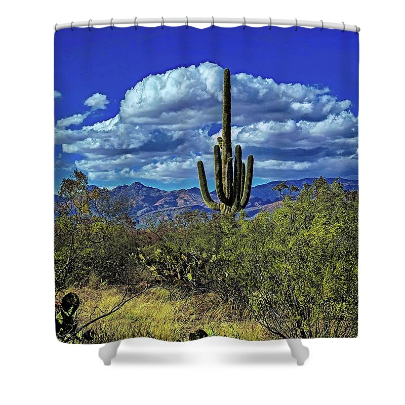Jon Burch Shower Curtain featuring the photograph Touch The Sky by Jon Burch Photography