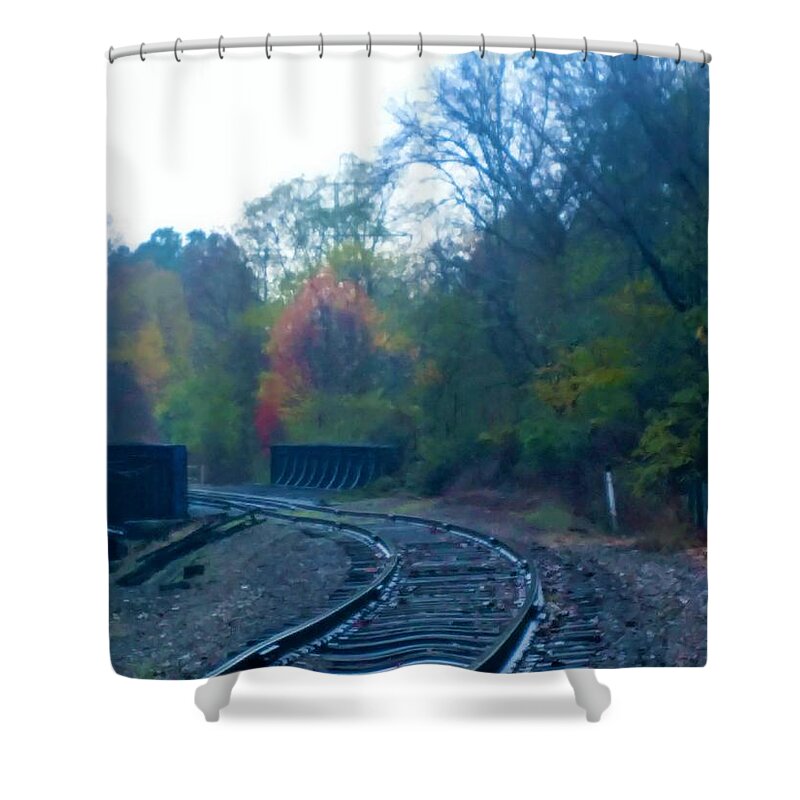  Shower Curtain featuring the photograph Towners Woods Tracks by Brad Nellis
