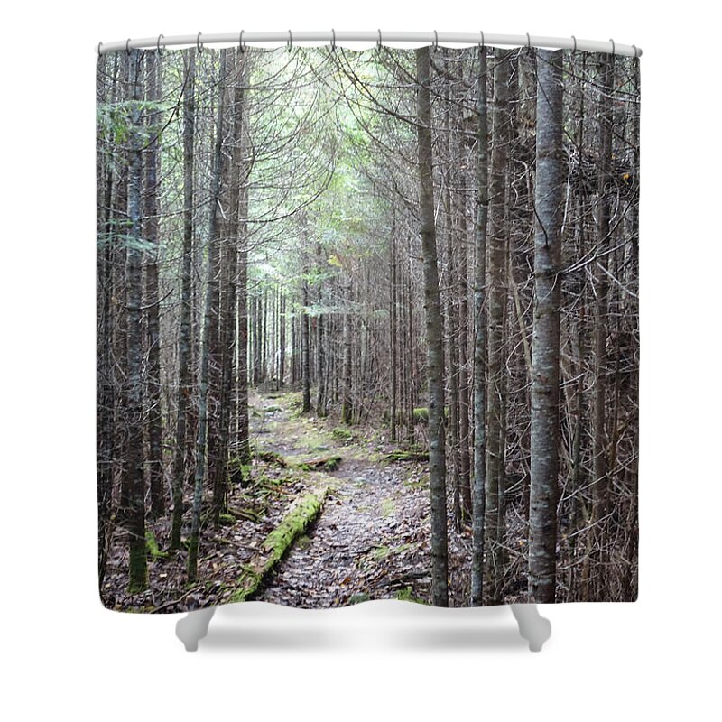 Maine Shower Curtain featuring the photograph Trail in Northern Maine Woods by Russ Considine