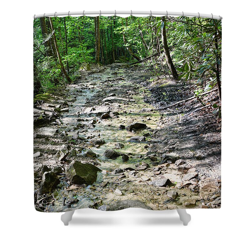 Trail Shower Curtain featuring the photograph Trail Is A Creek by Phil Perkins