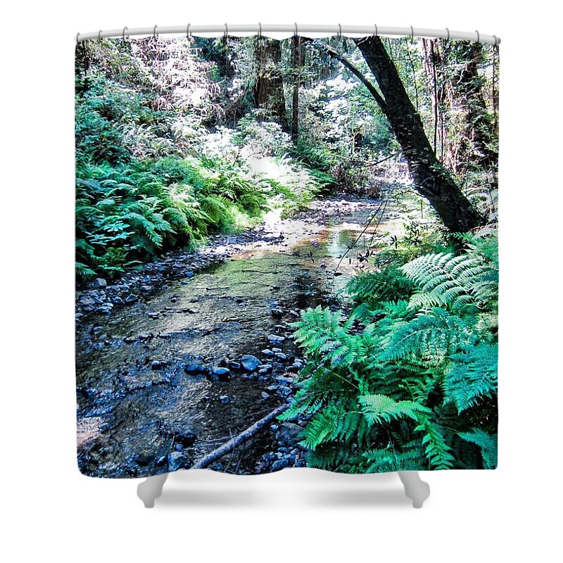Muir Woods Shower Curtain featuring the photograph Tranquil Stream in Muir Woods by Mary Pille