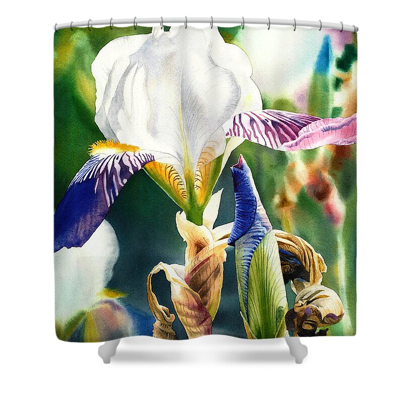 Iris Shower Curtain featuring the painting Translucent Iris by Espero Art