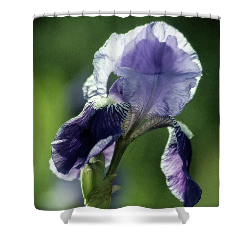 Arizona Shower Curtain featuring the photograph Translucent by Kathy McClure