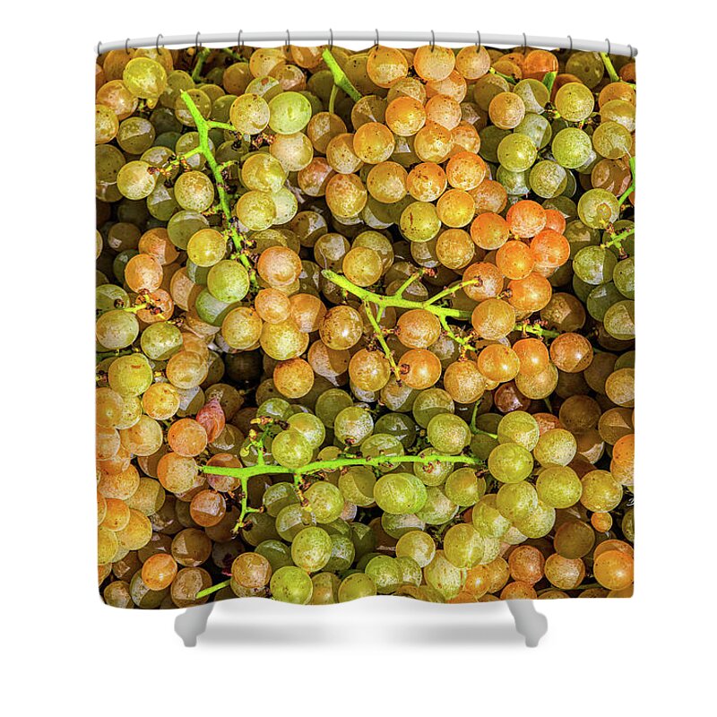 Wine Shower Curtain featuring the photograph Treasure Chest by Dale R Carlson