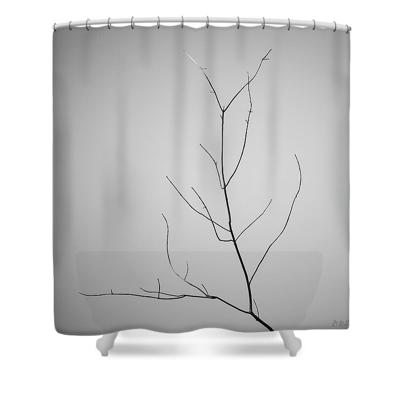 Abstract Shower Curtain featuring the photograph Tree Branches IV BW by David Gordon