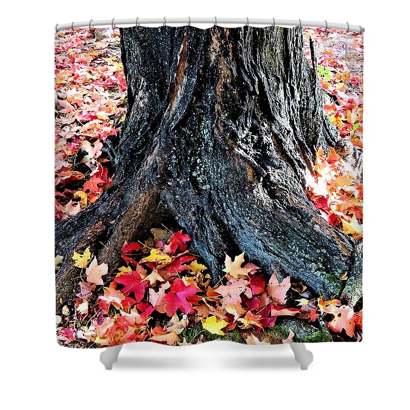 Tree Roots Shower Curtain featuring the photograph Tree Confetti in Autumn by Linda Stern