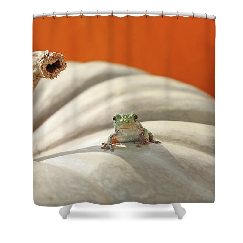 Tree Frog Shower Curtain featuring the photograph Tree Frog 4830 by Jack Schultz
