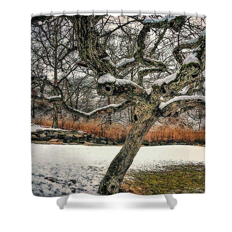 Snow Covered Shower Curtain featuring the photograph Tree In Winter With Snow by Cordia Murphy