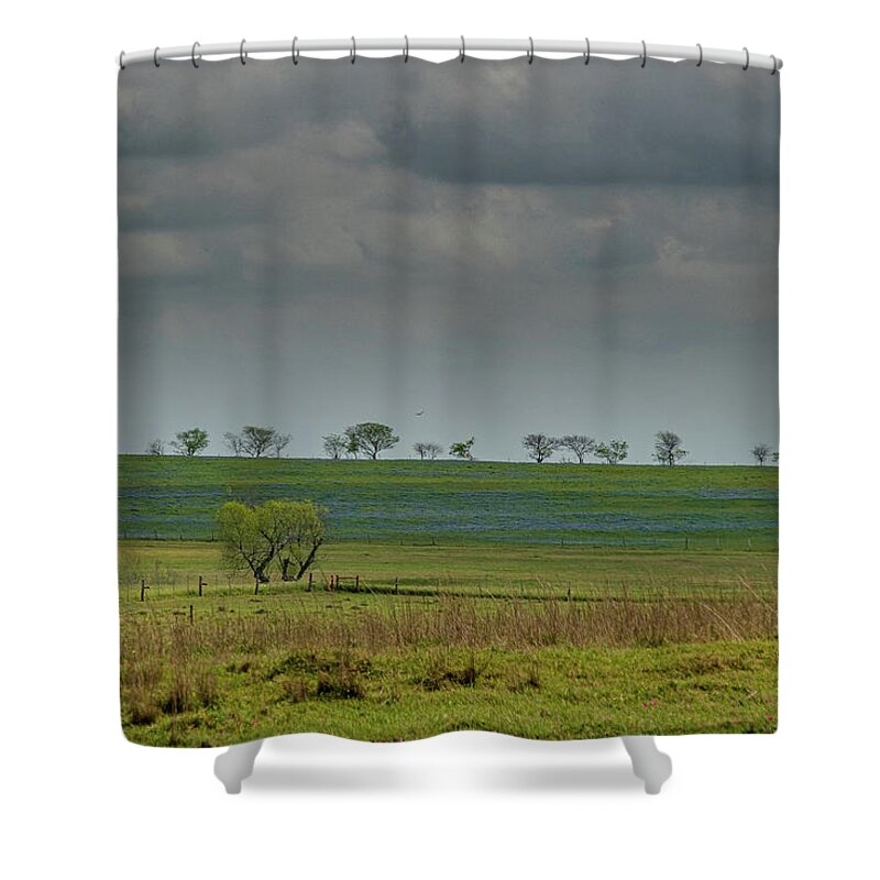 Exas Bluebonnets Shower Curtain featuring the photograph Tree Line Blues by Johnny Boyd