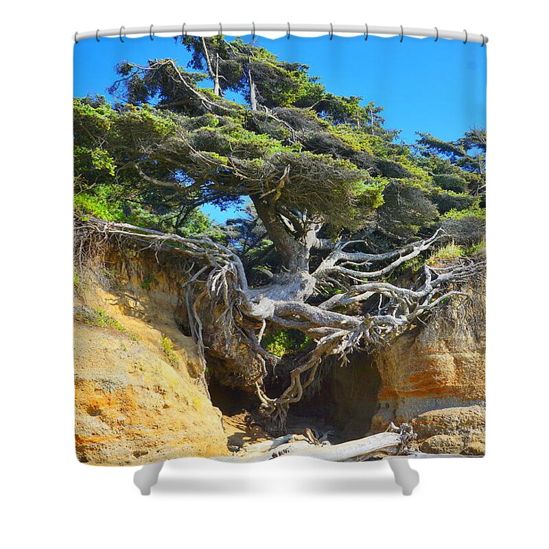 Coastal Shower Curtain featuring the photograph Tree of Life by Bill TALICH