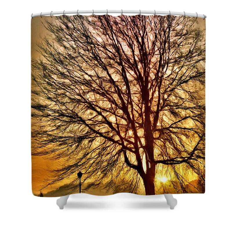 Tree Shower Curtain featuring the digital art Tree Sunrise Silhouette by Russel Considine