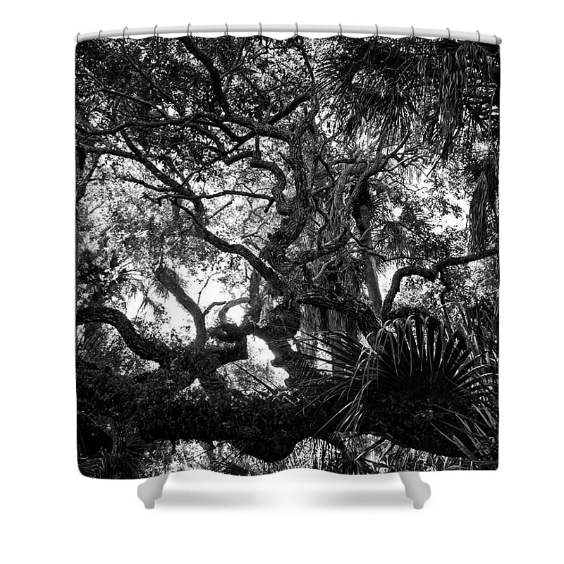 Texture Shower Curtain featuring the photograph Tree Textures by George Taylor