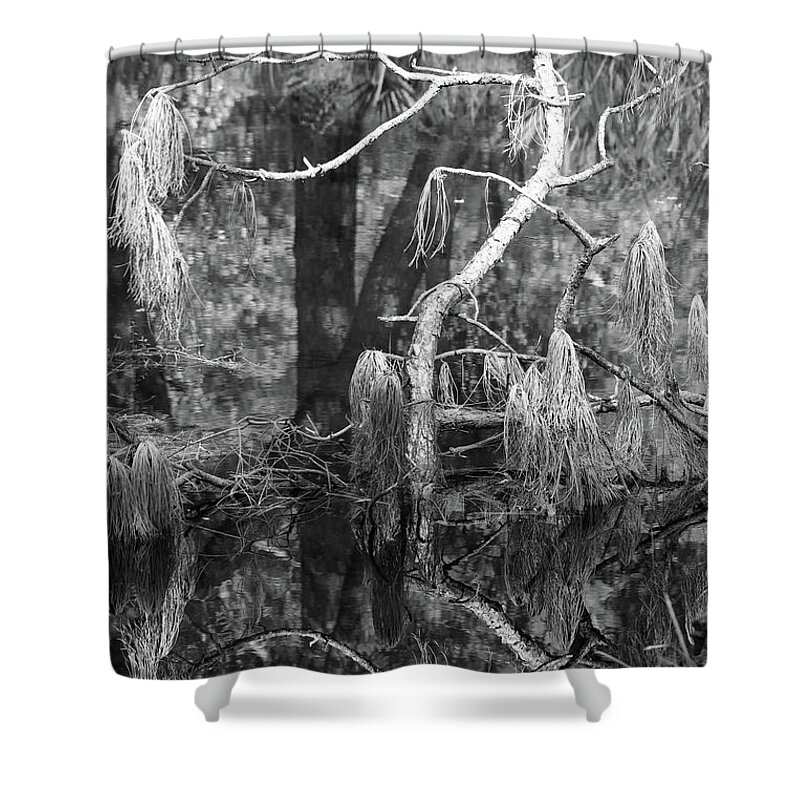 Bayou Shower Curtain featuring the photograph Tree Undefined by Mary Anne Delgado