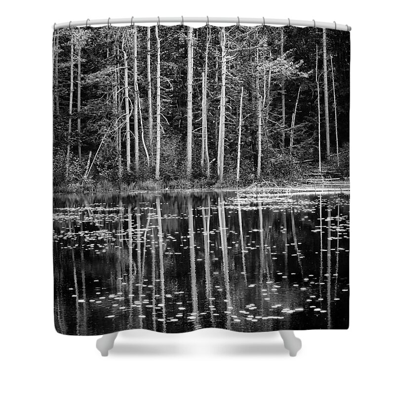 East Dover Vermont Shower Curtain featuring the photograph Trees And Pond by Tom Singleton