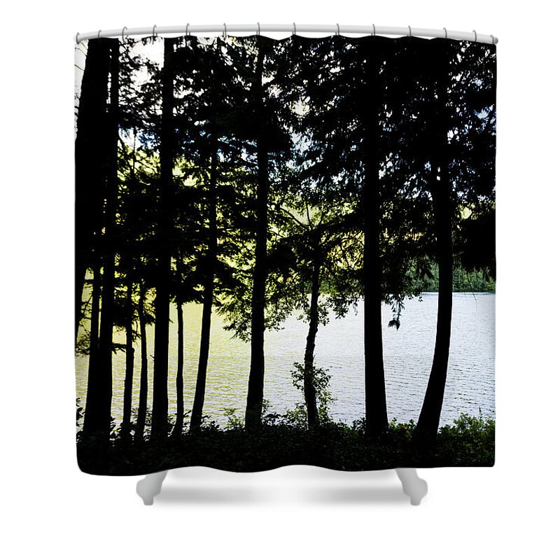Dv8.ca Shower Curtain featuring the photograph Trees at Alice Lake by Jim Whitley