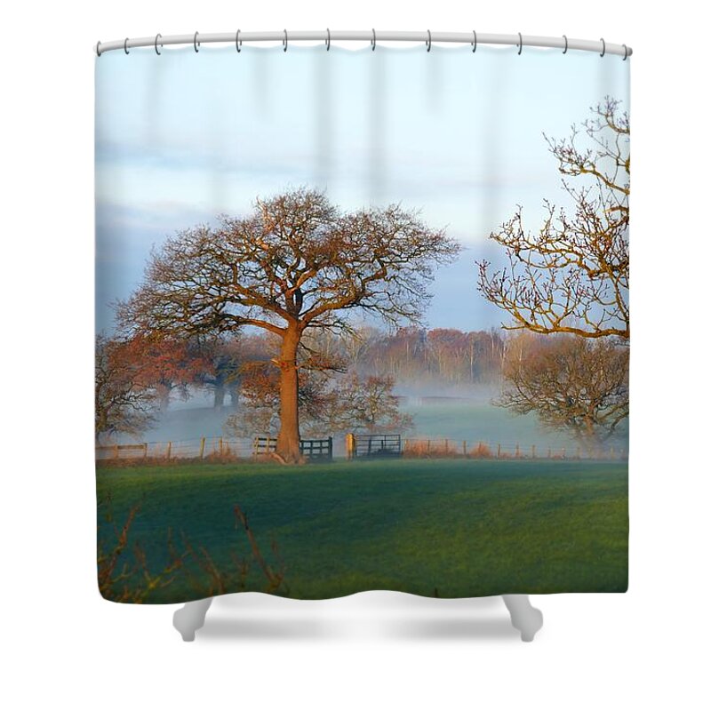 Trees Shower Curtain featuring the photograph Trees Five by Ian Hutson