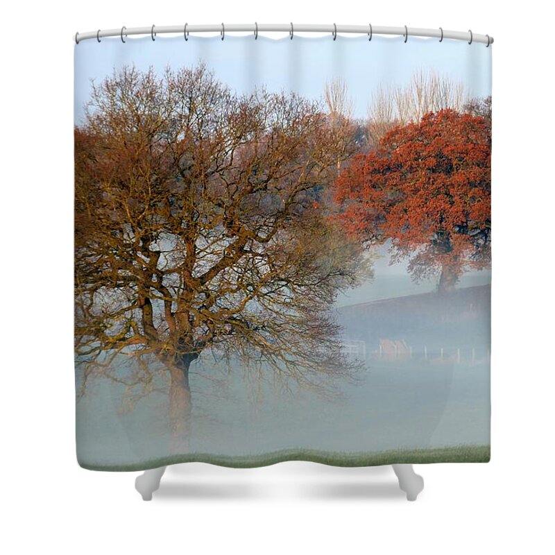 Trees Shower Curtain featuring the photograph Trees Fourteen by Ian Hutson