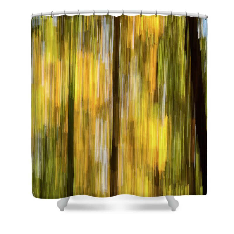 Abstract Shower Curtain featuring the photograph Trees in fall by Robert Miller