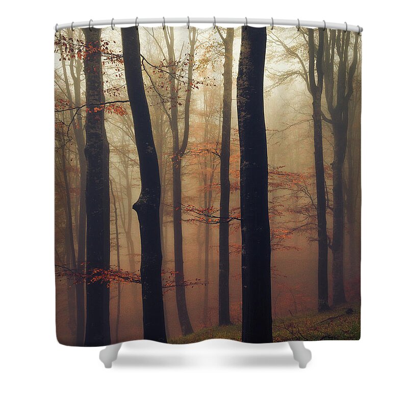 Balkan Mountains Shower Curtain featuring the photograph Trees in the Mist by Evgeni Dinev