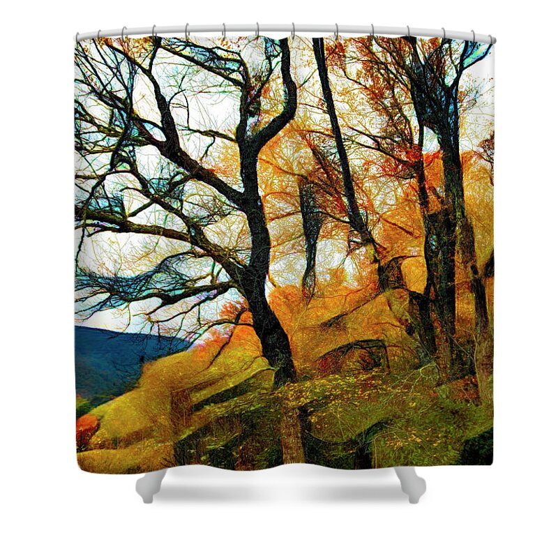 Cades Shower Curtain featuring the photograph Trees on the Edge of the Forest Abstract Painting by Debra and Dave Vanderlaan