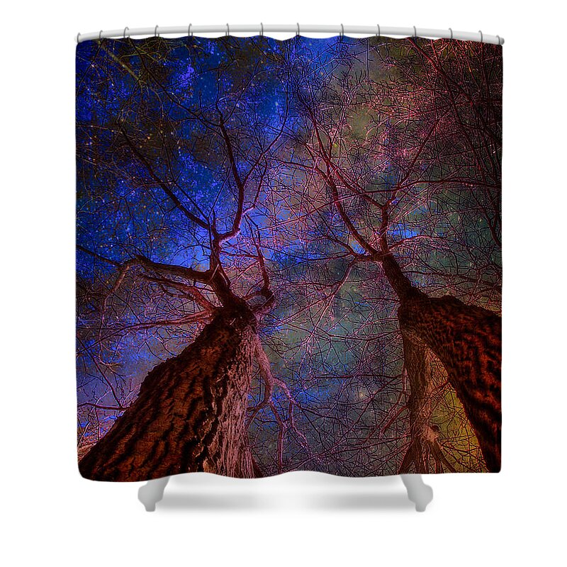 Trees Shower Curtain featuring the digital art Trees Pointing Toward Heaven by Russ Considine