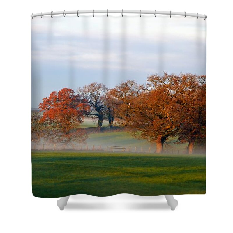 Trees Shower Curtain featuring the photograph Trees Twenty-Four by Ian Hutson