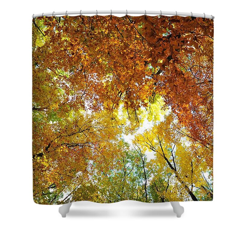 Red Shower Curtain featuring the photograph Treetops by Terri Gostola