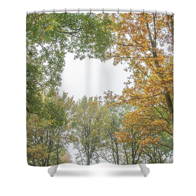 Trent Park Shower Curtain featuring the photograph Trent Park Trees Fall 11 by Edmund Peston
