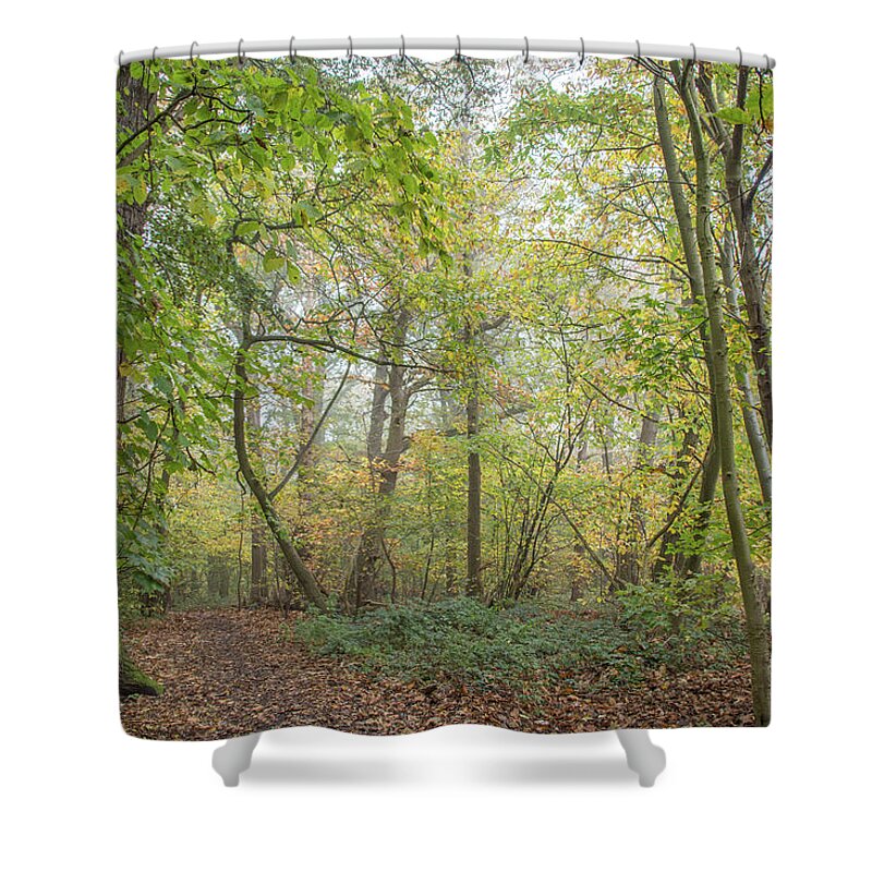 Trent Park Shower Curtain featuring the photograph Trent Park Trees Fall 6 by Edmund Peston