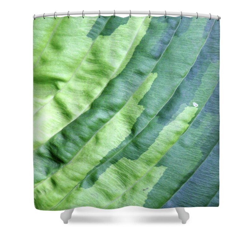Green Shower Curtain featuring the photograph Tropical1692 by Carolyn Stagger Cokley