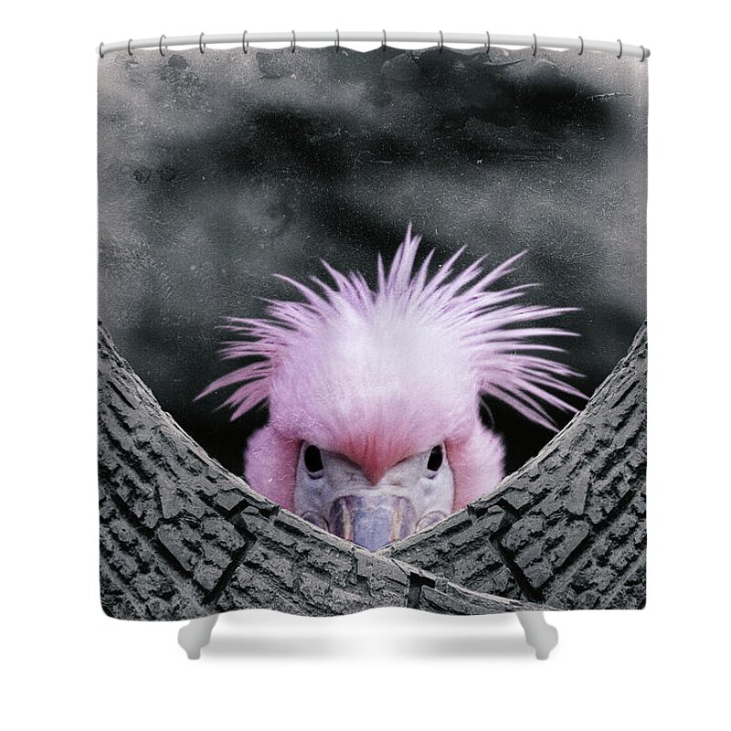 Animal Shower Curtain featuring the photograph Trying to Hide by Rabiri Us