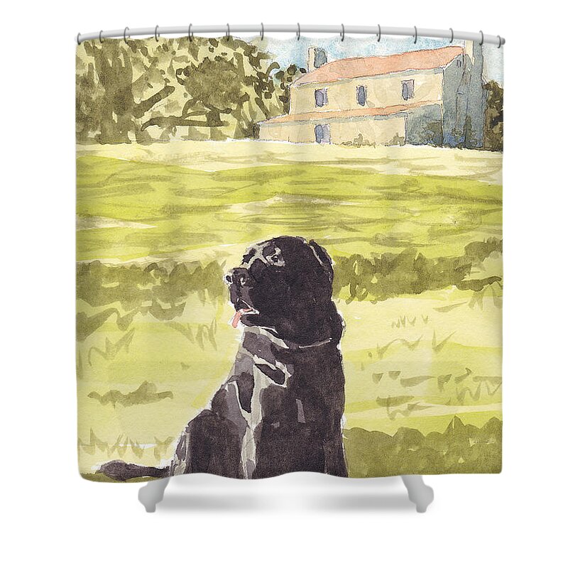Labrador Retriever Shower Curtain featuring the painting Tucker at Goshen Farm by Maryland Outdoor Life