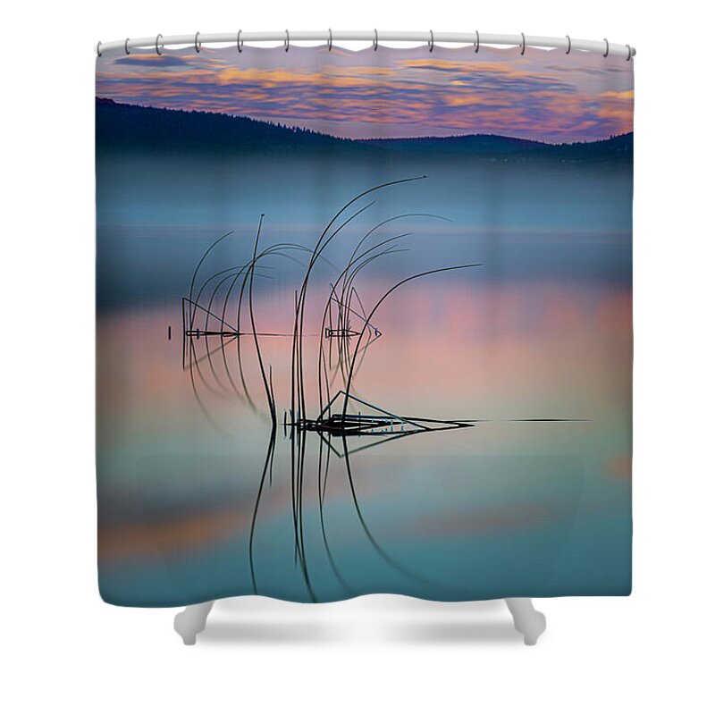 Tule Shower Curtain featuring the photograph Tule Reflections by Mike Lee