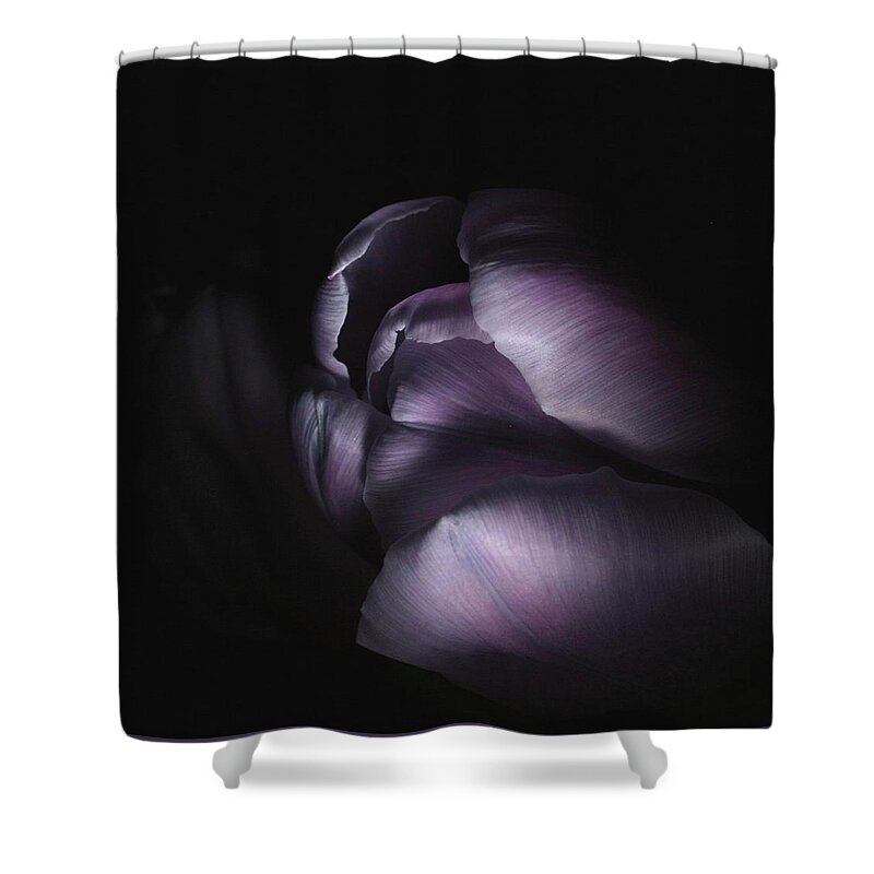 Floral Shower Curtain featuring the photograph Tulip 040707 by Julie Powell