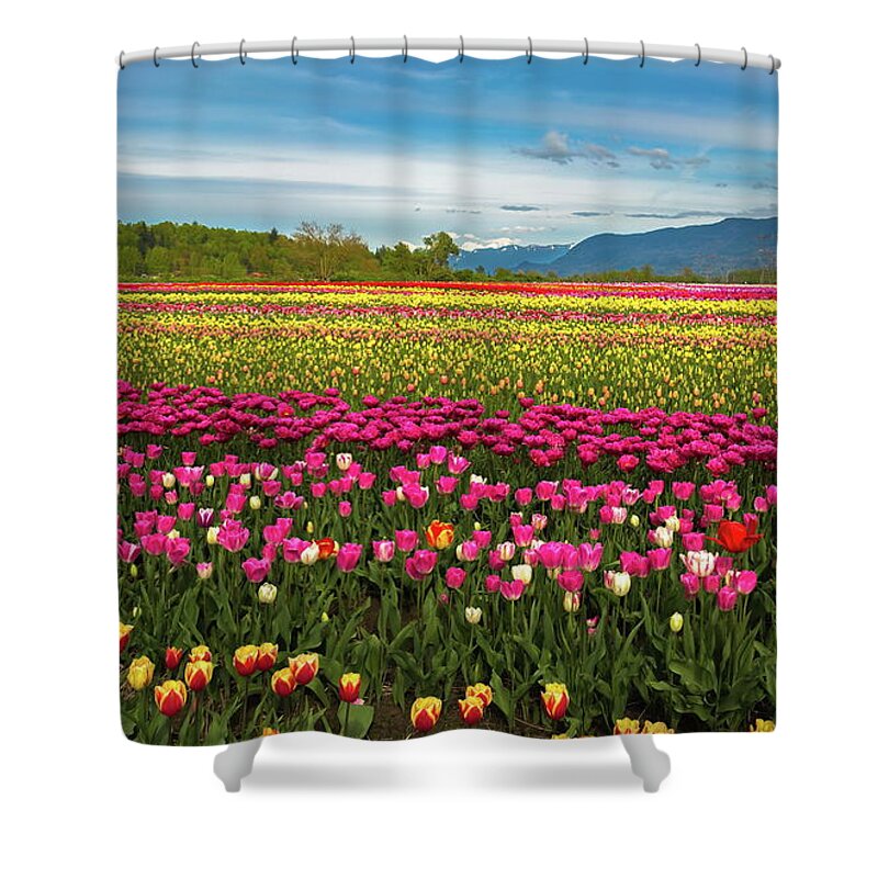 Alex Lyubar Shower Curtain featuring the photograph Tulip festival - field of flowers by Alex Lyubar
